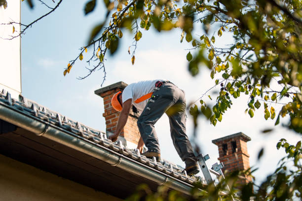 Best Tile Roofing Contractor  in The Colony, TX