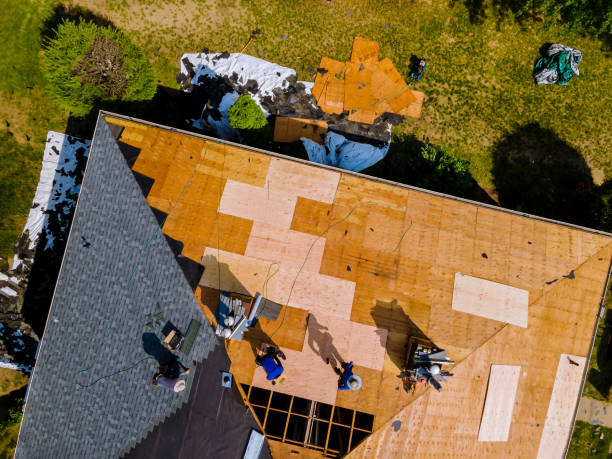 Best Slate Roofing Contractor  in The Colony, TX